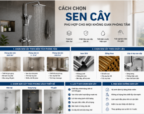 Cách Chọn Sen Cây Phù Hợp Cho Mọi Không Gian Phòng Tắm